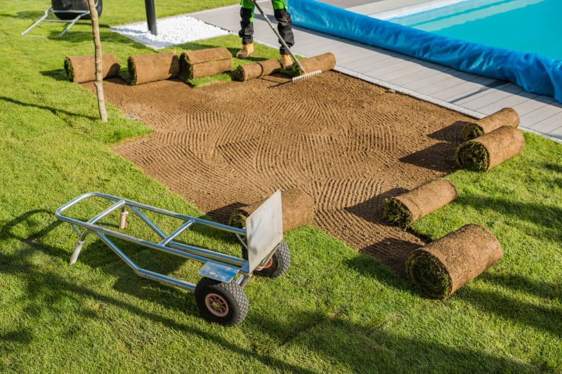 Sod Installation Service