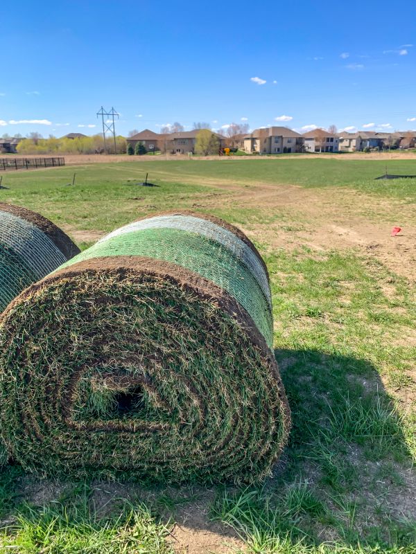 Sod Replacement Services