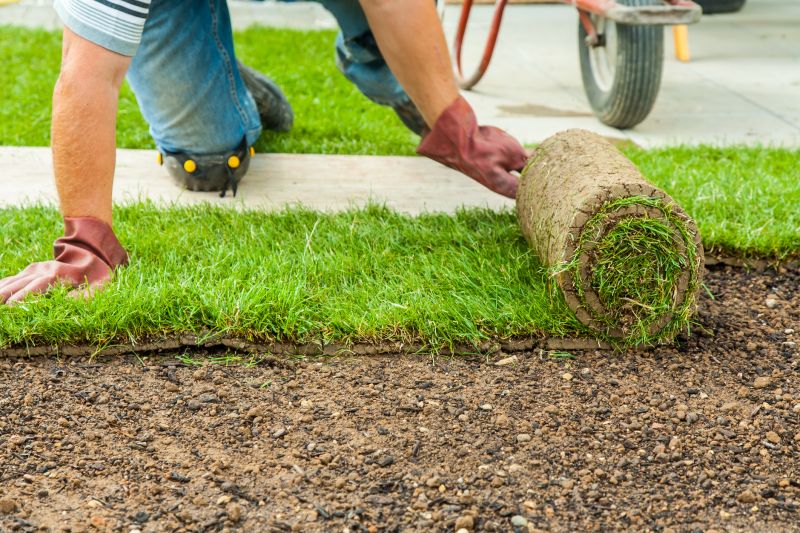 Service Locations for Sod Replacement