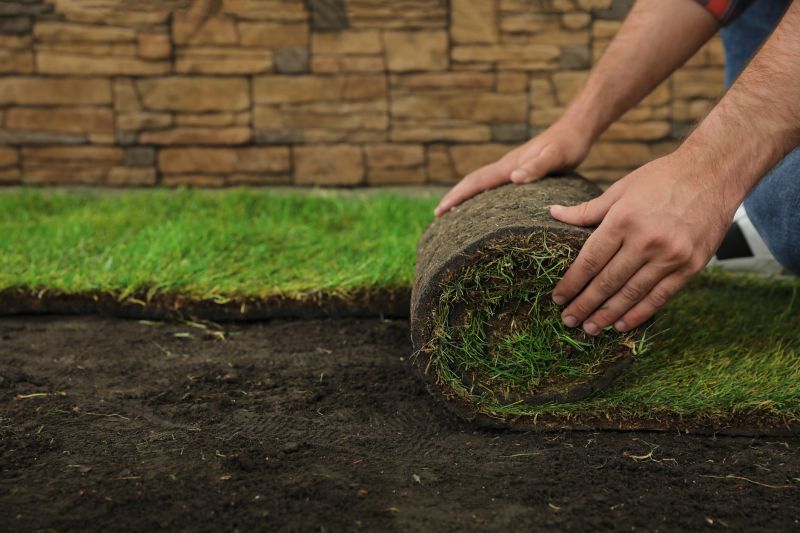 Sod Replacement