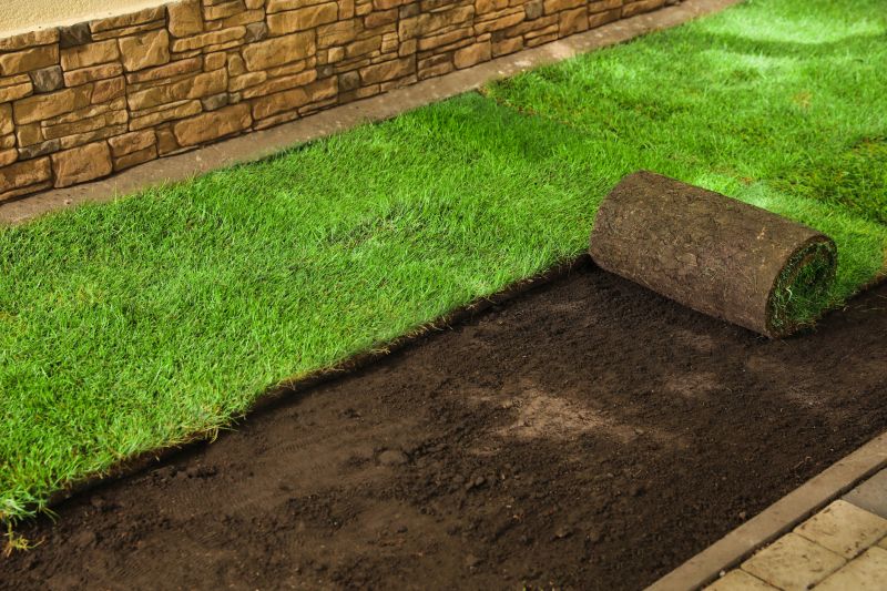 Sod Replacement
