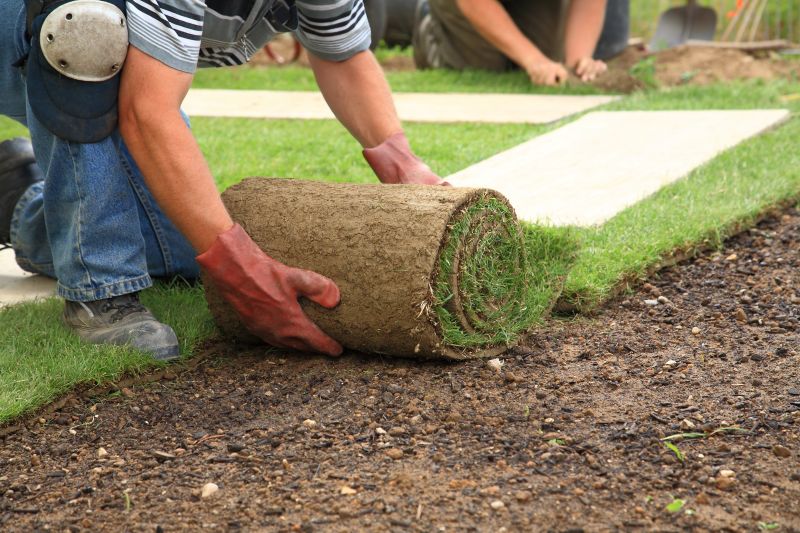 Fescue Sod Installation in Honolulu, HI