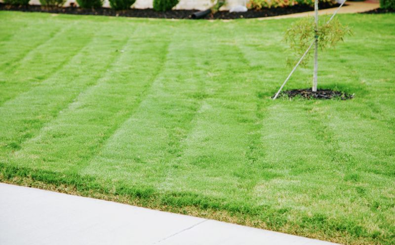 Grass Installation in Rockwall, TX