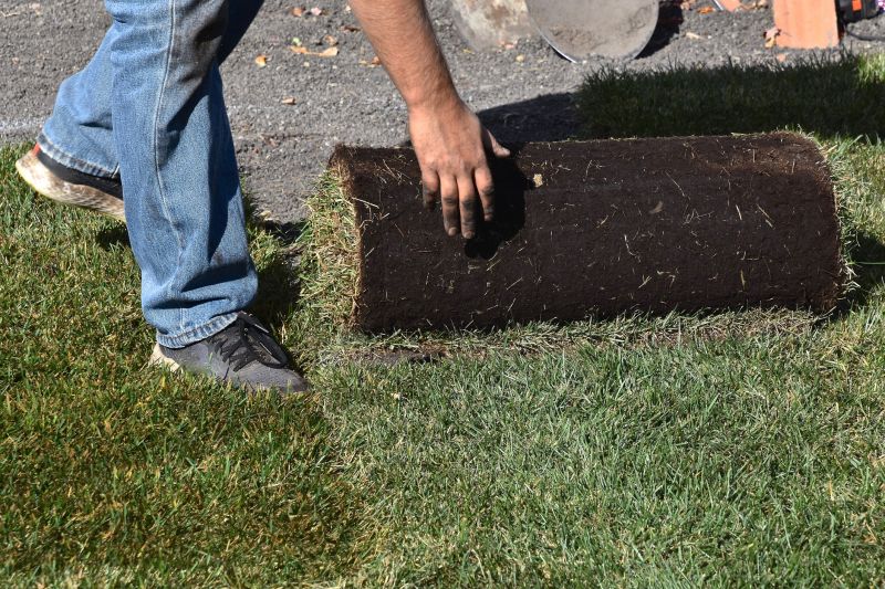 Products For Sod Replacements in use