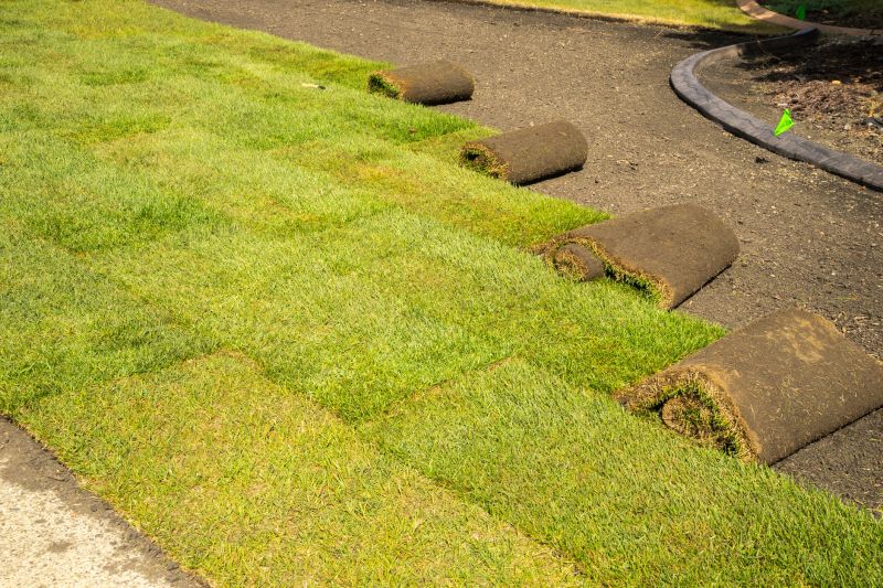 Healthy Sod Rolls