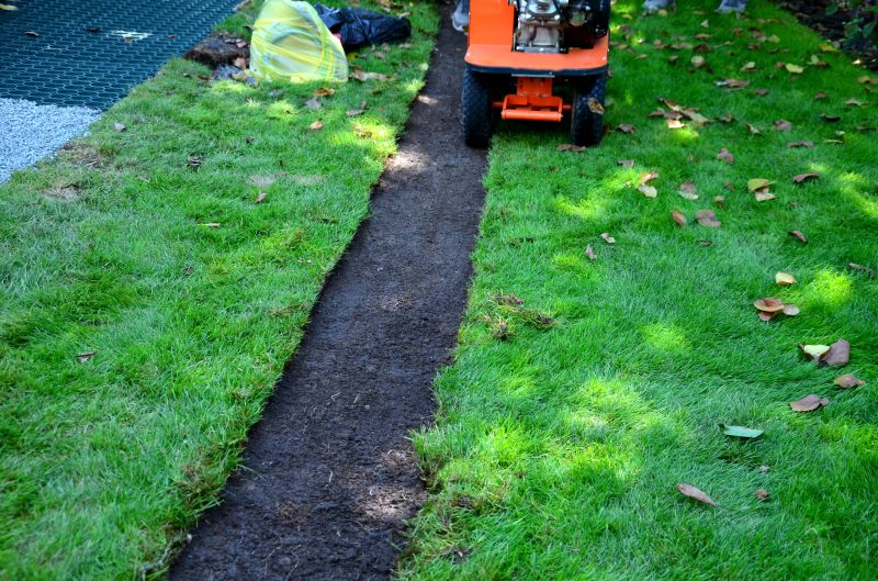Sod Replacement Cost — Cost of Sod Replacement