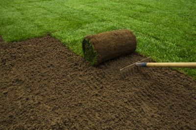 Sod Replacement Cost — Cost of Sod Replacement