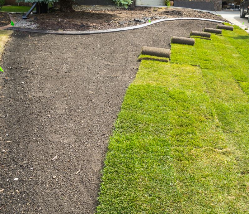 Yard Sod Replacement