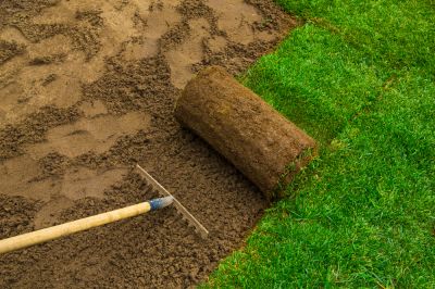 Improve the Value of Your Property with Sod Replacement!