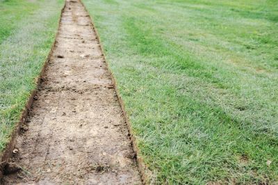 Remove Dead or Damaged Sod!